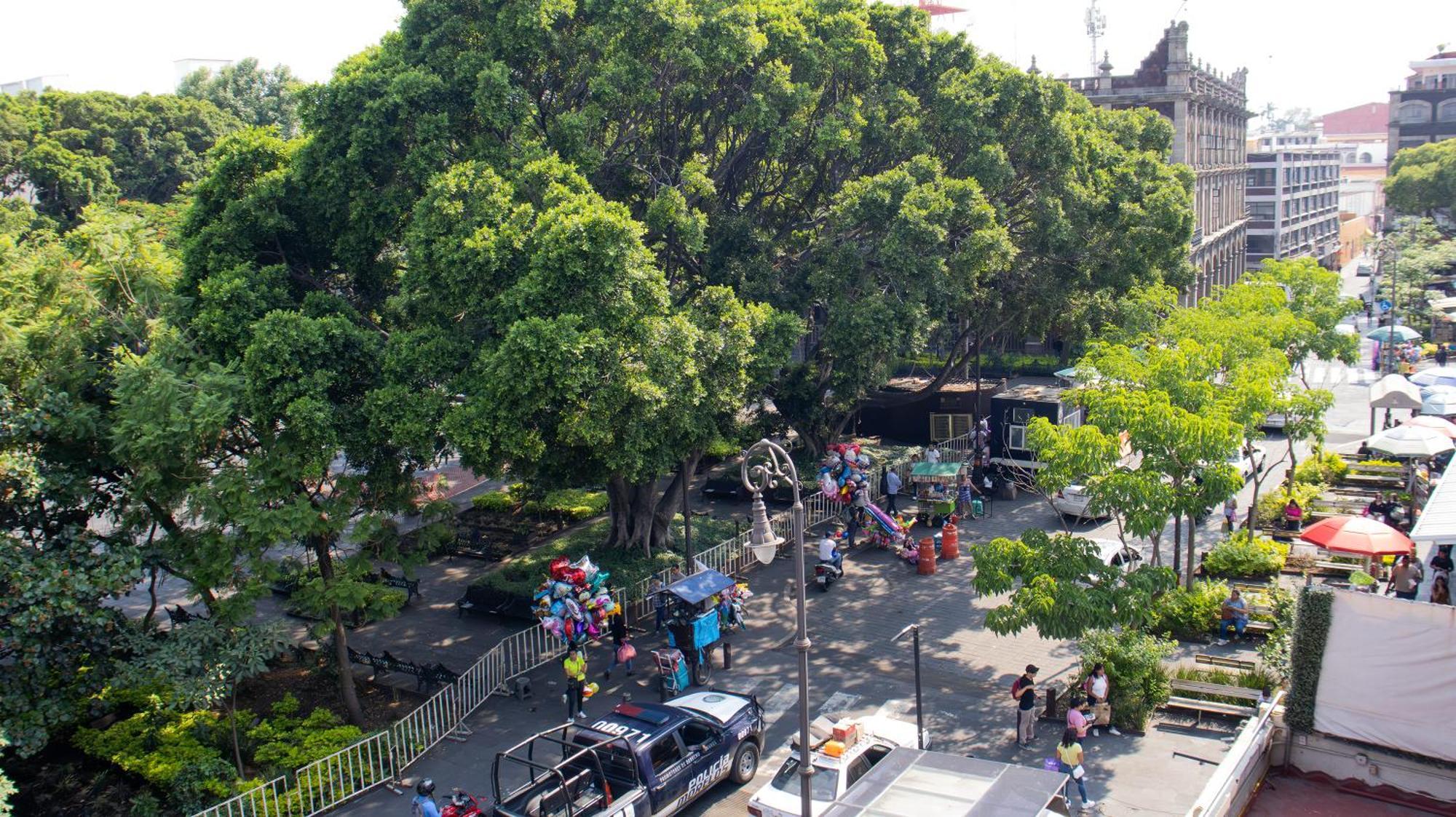 Suites Las Plazas Cuernavaca Exteriör bild